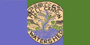 Mill Canyon Watershed Mill Canyon Watershed